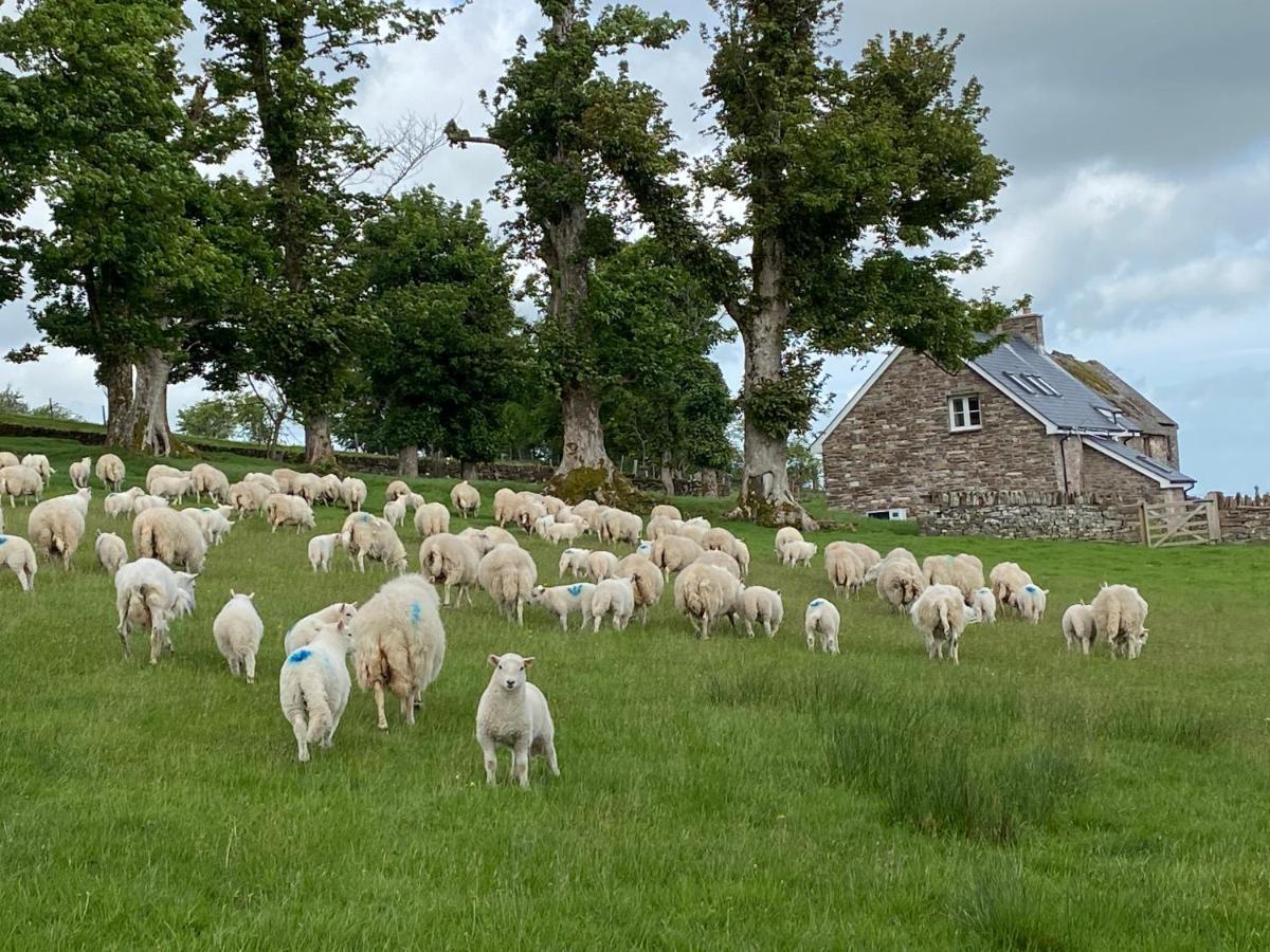 LlangynidrPant Llwyd Farm别墅 外观 照片