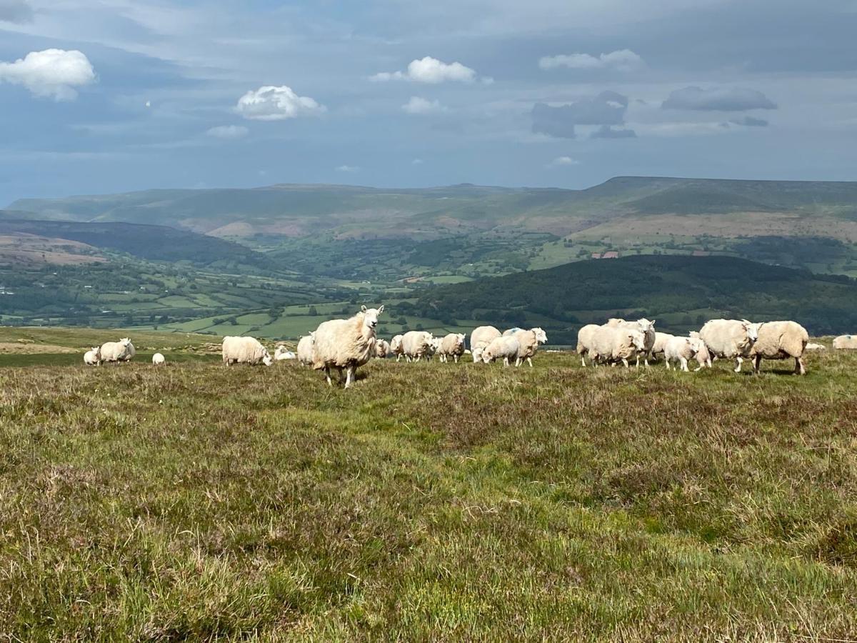 LlangynidrPant Llwyd Farm别墅 外观 照片
